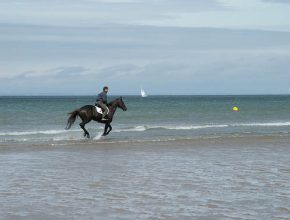 pension-chevaux-normandie