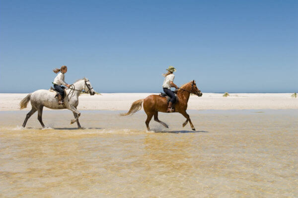 horse riding on beach