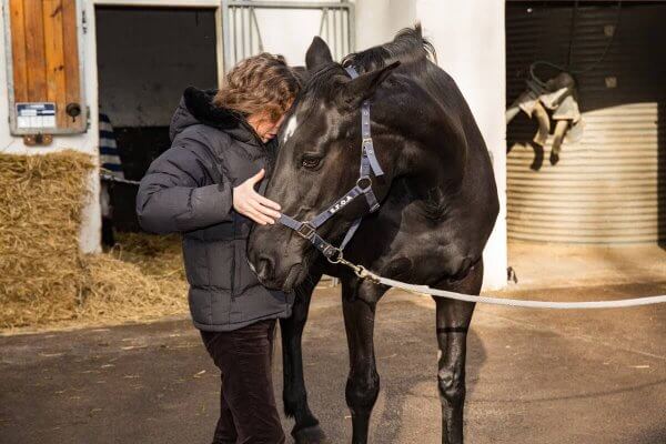 manipulation osteopathie chevaux