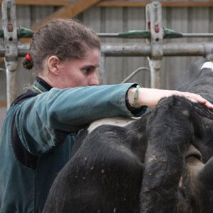 Présentation du 1er programme de recherche en ostéopathie animale sur un congrès international